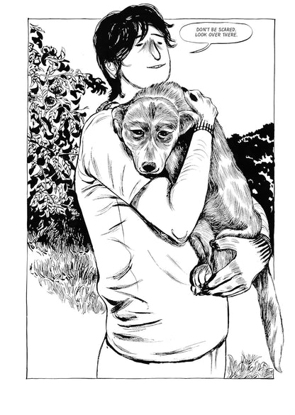 נובלה גרפית | Dog Days