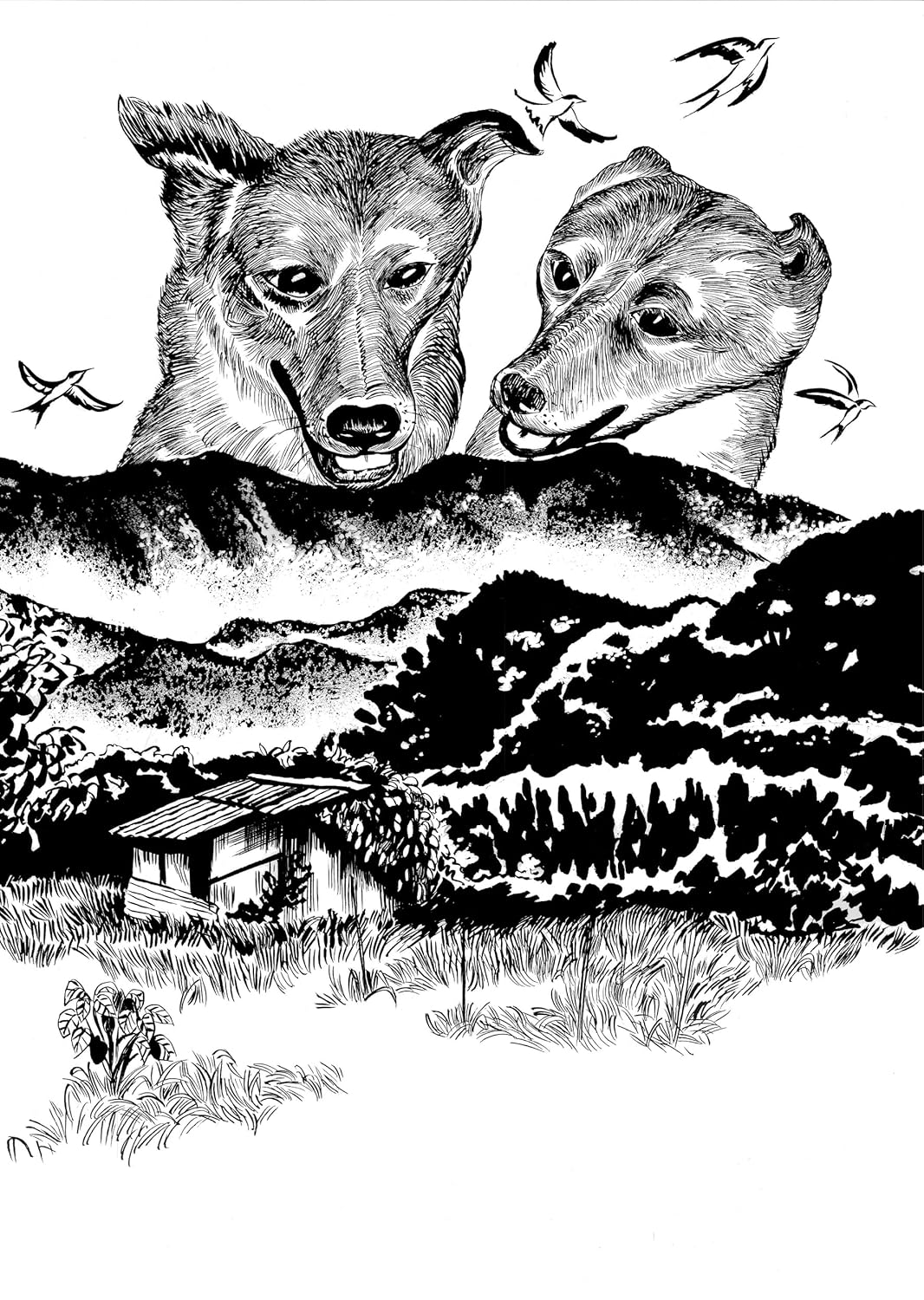 נובלה גרפית | Dog Days