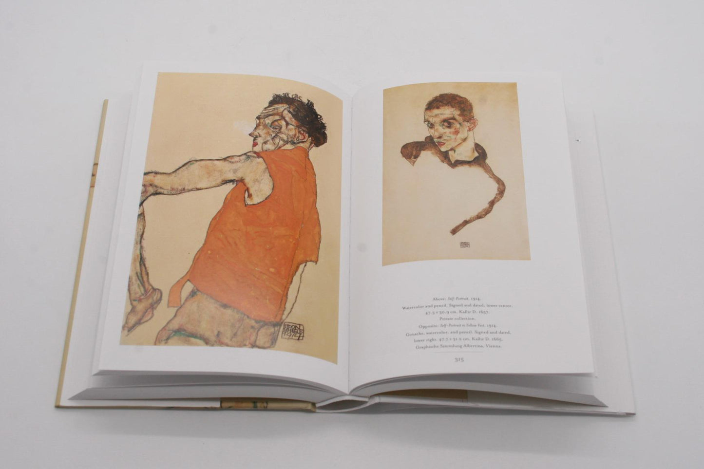 ספר אמנות | Egon Schiele: Drawings & Watercolours