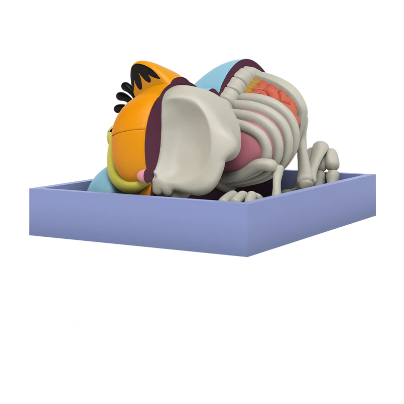 Hidden Dissectibles: Garfield by Jason Freeny | בליינדבוקס