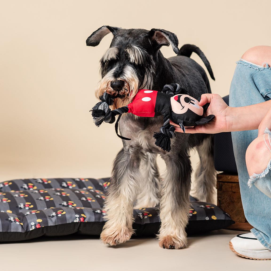 Dog Toy - Mickey Mouse - Yuka Monsters