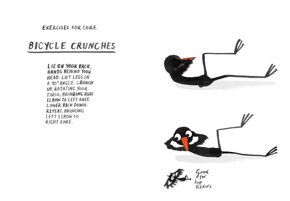 ספר כיס | How to be a Fit Bird