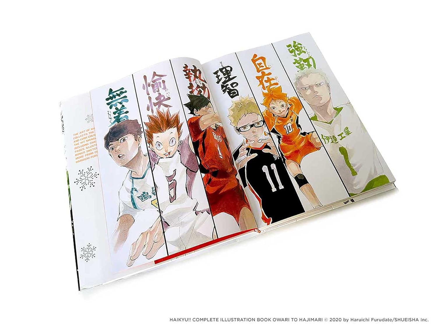 Art of Haikyu!!: Endings and Beginnings - Yuka Monsters