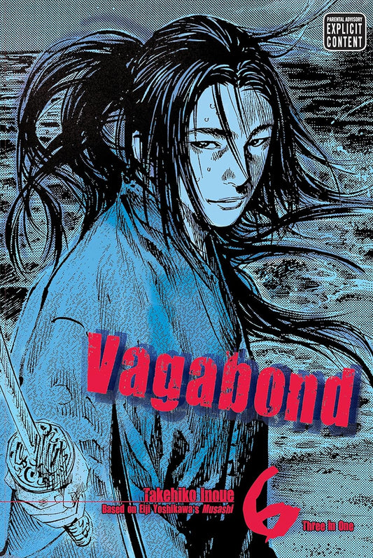 Vagabond 6