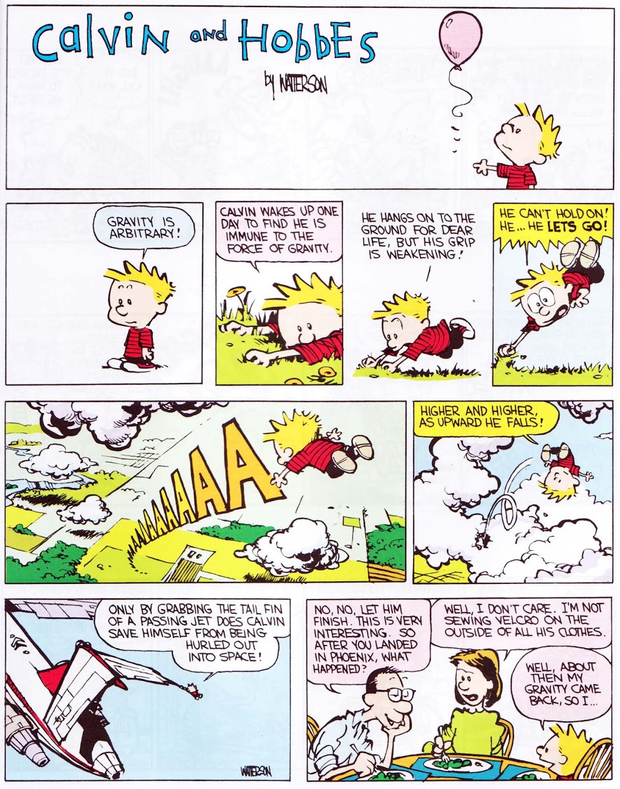 The Essential Calvin and Hobbes - Yuka Monsters