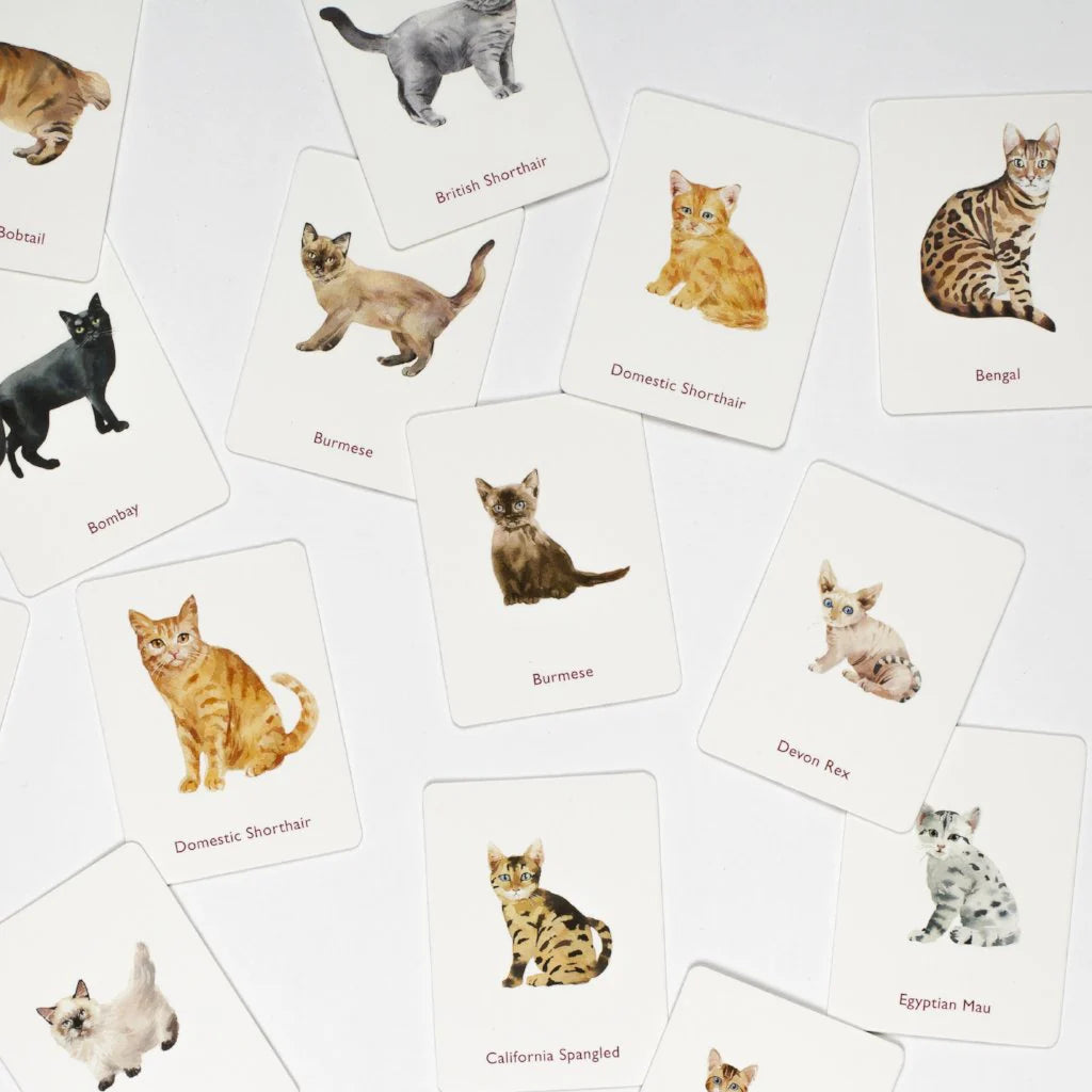 Cats & Kittens | משחק זיכרון - Yuka Monsters