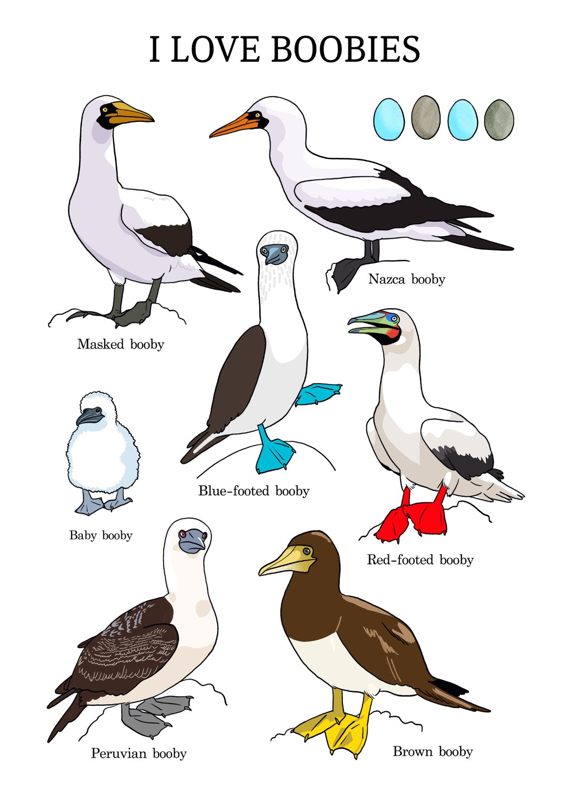 נעה כ"ץ | פרינט - I Love Boobies