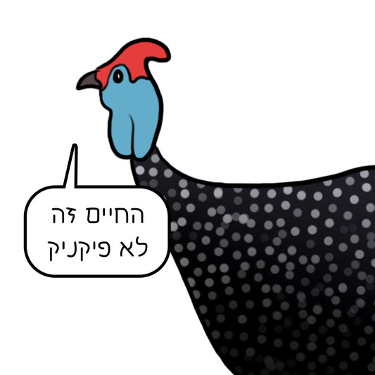 נעה כ״ץ | מגנט ״החיים זה לא פיקניק״