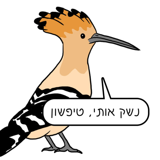 נעה כ״ץ | מגנט ״נשק אותי טיפשון״