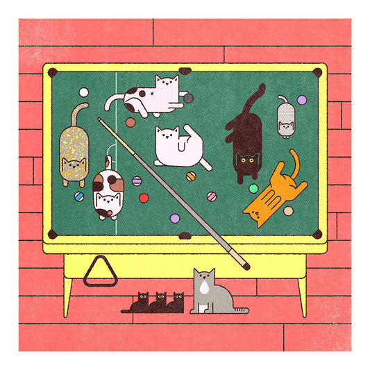 billiard | עידן מרינברג