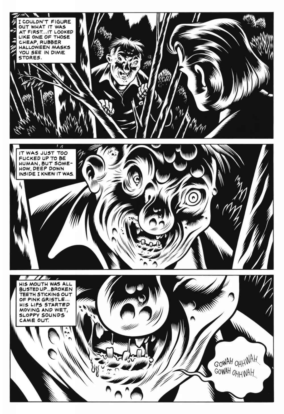 Black Hole | Charles Burns